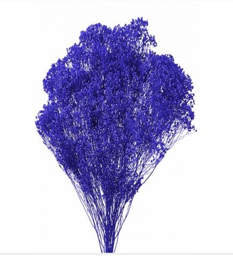 Broom Bloom Naturale colorato Gr. 100 - Sconti per Fioristi e Aziende