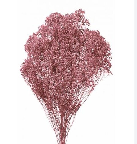 Broom Bloom Naturale colorato Gr. 100 - Sconti per Fioristi e Aziende