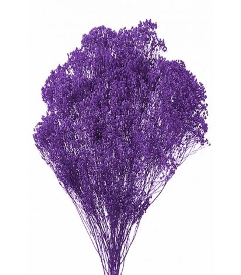 Broom Bloom Naturale colorato Gr. 100 - Sconti per Fioristi e Aziende