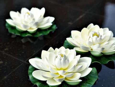 Ninfea Galleggiante dm.18 H12 - Sconti per Fioristi e Aziende  - In Polifoam