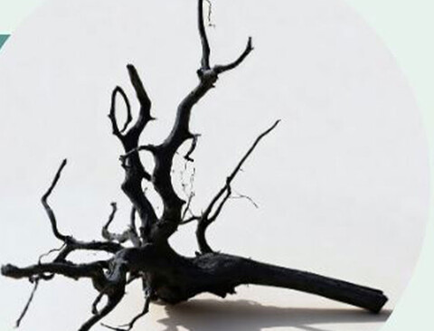 Radice Black Spider - Prodotto Naturale trattato  - Legno scuro cm 40/50