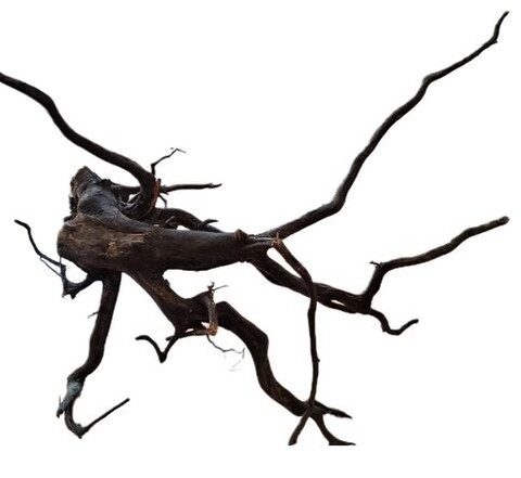 Radice Black Spider - Prodotto Naturale trattato - Legno scuro cm 40/50
