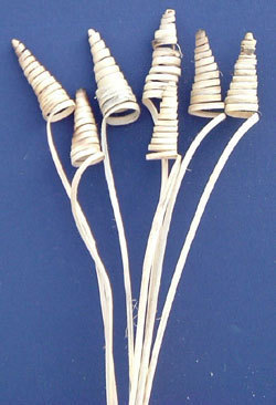 Cane cone naturale H 70/80/100 - Sconti per Fioristi e Aziende