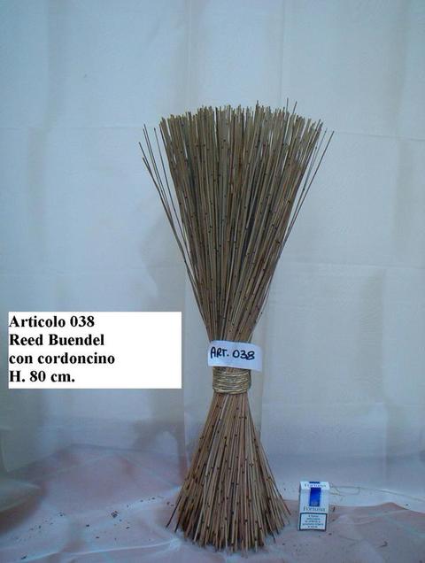 Equisetum Stem H 80  - Sconti per Fioristi e Aziende - Mazzo Kg. 1 Stabilizzato