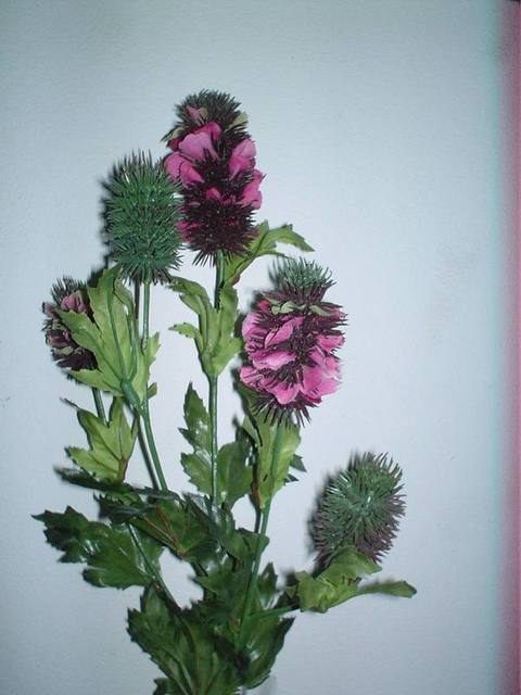 Banksia x 5 wild in Poliestere - Sconti per Fioristi e Aziende