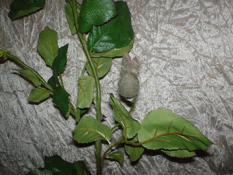 Foglie di rose su stelo  H 95 coated  - Sconti per Fioristi e Aziende