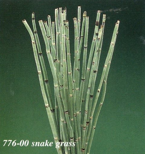 Fascina Snake Grass  Naturale cm. 15 - Sconti per Fioristi e Aziende