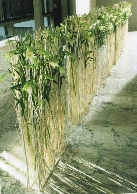 Mitzumata Sbiancata H 120 - Sconti per Fioristi e Aziende  - Mazzo Sbiancato x  3 rami