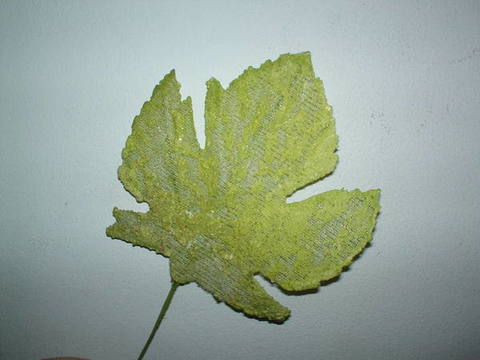 Foglie di platano x 12 pezzi - Sconti per Fioristi e Aziende . - in organza