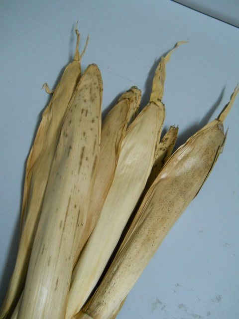 Foglie di Mais Dry Colorate conf. 20 foglie - Sconti per Fioristi e Aziende