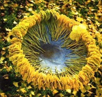 Foglie Naturali x 50 Arrows  - Sconti per Fioristi e Aziende - Tagliate a cuore