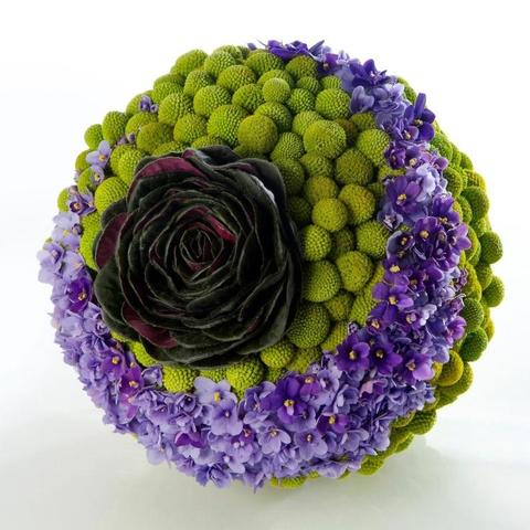 Craspedia Globosa Colorata- Bill Botton Stabilizzato - Sconti per Fioristi e Aziende