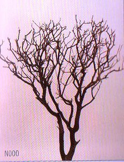 Faggio Marino Naturale  - Sconti per Fioristi e Aziende - Alto da cm.50 a cm. 75