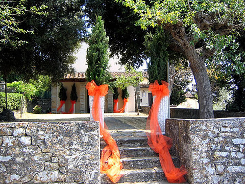 Rotolo Organza H 70 x 10 mt. - Sconti per Fioristi e Aziende - No Cimosa ai bordi