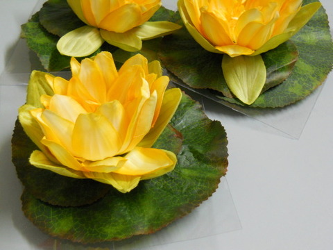 Ninfea Galleggiante dm.18 H12 - Sconti per Fioristi e Aziende - In Polifoam