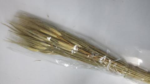 Orzo stabilizzato baffo verde gr. 200 H 70/80 - Sconti per Fioristi e Aziende a mazzo