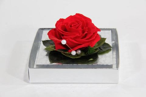 Bocciolo di rosa stabilizzata Ø 2 cm. conf. 16 pezzi - Sconti per Fioristi e Aziende