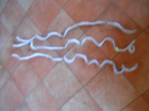 Snake Rattan H 120 dm.2/3 - Sconti per Fioristi e Aziende - Naturale Calcinato