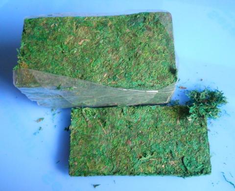 Muschio Dry Moss gr. 940 in Conf. 10 pezzi - Sconti per Fioristi e Aziende