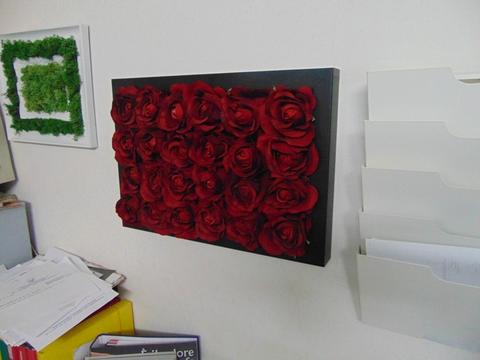 Quadro Roseto   cm. 50 x 35  con 24 rose
