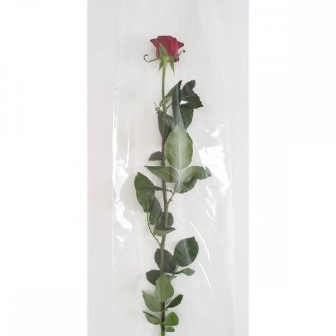 Buste per rosa H 100 x 35 - Confezione da 100 buste - F/Argento o Tutta Neutra