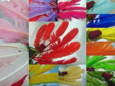 Piume colorate H 29 cm.  - Sconto per Fioristi e Aziende - conf. monocolore da 6 piume