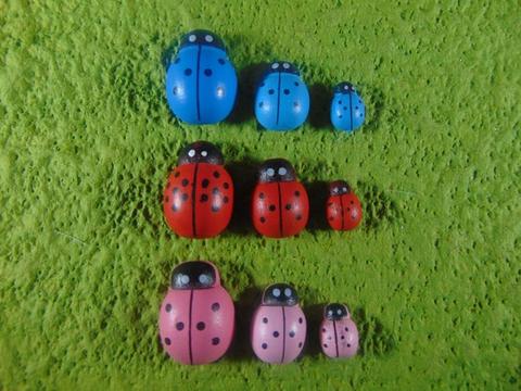 Coccinelle in legno colori diversi con biadesivo mm.13 - mm.18 - mm. 25 - Sconti per Fioristi e Aziende