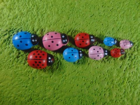 Coccinelle con biadesivo in diverse misure in 4 colori - Sconti per Fioristi e Aziende