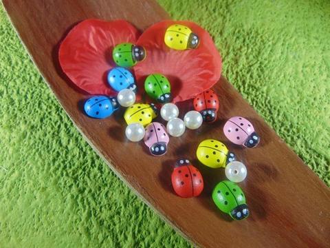 Coccinelle in legno colori diversi con biadesivo mm.13 - mm.18 - mm. 25 - Sconti per Fioristi e Aziende