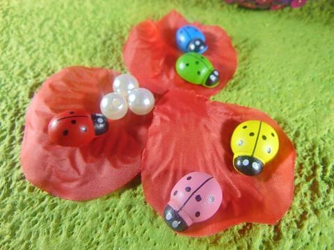 Coccinelle con biadesivo in diverse misure in 4 colori - Sconti per Fioristi e Aziende