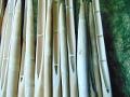 Staccionata Canna Bamboo - Sconti per Fioristi e Aziende - H 175 x cm. 210