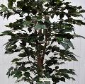 Ficus Benjamin x 43 verde - Sconti per Fioristi e Aziende - Artificiale