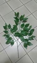 Ficus Benjamin x 43 verde - Sconti per Fioristi e Aziende - Artificiale