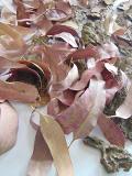 Foglie naturali di Eucaliptus rosa busta gr. 200 Sconti per Fioristi e Aziende