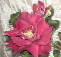 Magnolia & Rose x 2  in Velluto Bordeaux - Sconti per Fioristi e Aziende