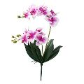 Foglie di Orchidea x 5 in poliestere da cm. 15 - Sconti per Fioristi e Aziende