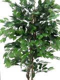 Ficus Twisted H 165 in vaso  - Sconti per Fioristi e Aziende - Artificiale con 1075 foglie verdi