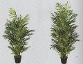 Areca Palm H 160 artificiale con 1076 foglie - Sconti per Fioristi e Aziende