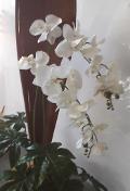 Orchidea Falenopsis H 98 - Sconti per Fioristi e Aziende - Artificiale