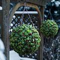 Boxwood Ball dm. 35-45-52 - Sconti per Fioristi e Aziende  - Artificiale in Plastica