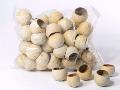 Mini Bell Cups Kurchi Ftuit  - Sconti per Fioristi e Aziende - gr.250