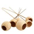 Bell Cups Naturale steccati x 5 - Sconti per Fioristi e Aziende