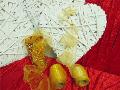Nastro in Organza Cristal - Sconti per Fioristi e Aziende -  Giallo mt. 25 H 8 - H 12