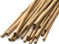 Canna di Bamboo dm 3,1 / 3,5 H 200 - 250 - 300 - Sconti per Fioristi e Aziende