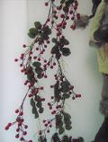 Bacche Rosse cm. 118 con 14 tralci e foglie - Sconti per Fioristi e Aziende e Wedding