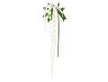 Amarantus bianco cm. 110 in poliestere - Sconti per Fioristi e Aziende e Wedding