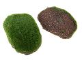 Ball Moss x 2 sintetico cm. 15/25 - gr.250 - Sconti per Fioristi e Aziende e Wedding