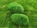 Ball Moss x 2 sintetico cm. 15/25 - gr.250 - Sconti per Fioristi e Aziende e Wedding