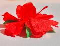Gardena rossa in poliestere con spilla Sconti per Fioristio e Aziende