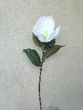 Magnolia bianca singola H 70 in poliestere - Sconti per fioristi e aziende